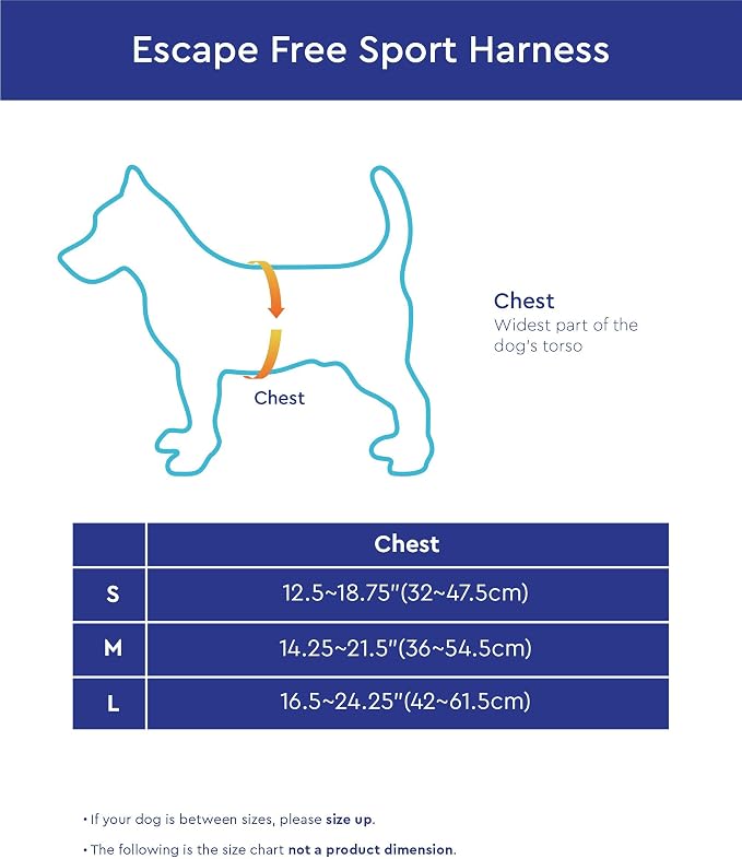 Gooby Escape Free Sport Dog Harness, Choke-Free, Turquoise, Medium | Patented escape-free frame; Reduces choking; 4-point adjustment; Soft neoprene padding; Durable webbed straps