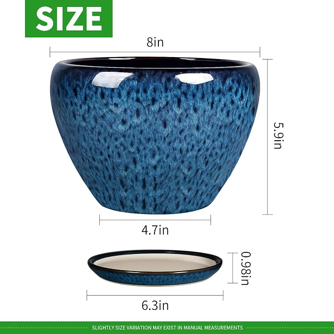 Deep Dream 8 Inch Plant Pots- Ceramic Pots for Plants with Drainage Hole and Saucer, Large Planter Pot for Indoor Plants Outdoor Decor, Blue