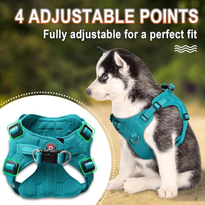 Dog Harness Step in Dog Vest Harness, Reflective Adjustable Puppy No Pull Harness Breathable Soft for Small and Medium Dogs Cats, Ocean Blue, XS