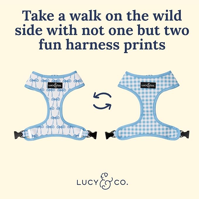 Lucy & Co. Cute Reversible Dog Harness Walking Halter - Best Designer Pet Harnesses for XS - XL Dogs - Padded Adjustable Vest for Easy Walking - X Large - White with Blue Bows