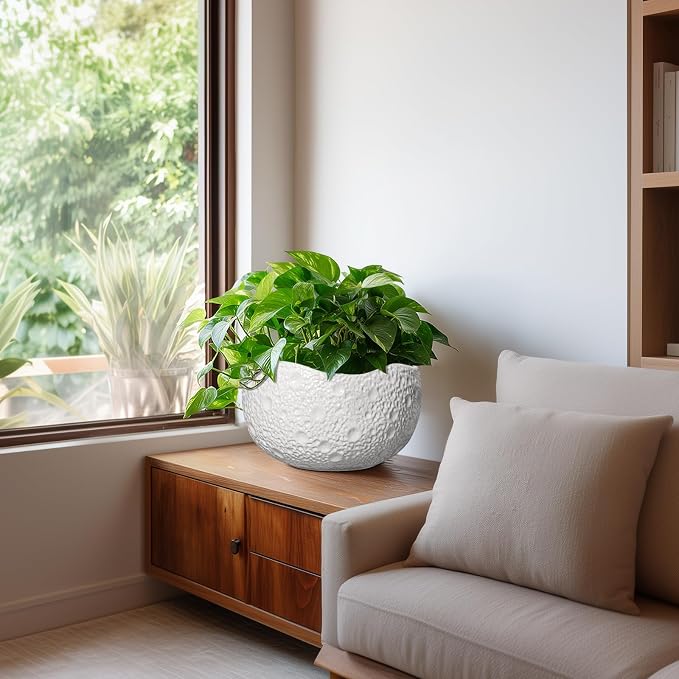 10 Inch Plant Pot - Ceramic Planter for Indoor Outdoor, Round Bonsai Pots, Decorative Flower Pots with Drainage Hole, Modern Unique Planters, House Decor, Home Gifts, White