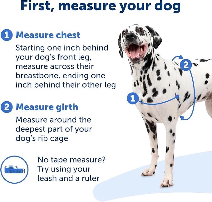 PetSafe Easy Walk No-Pull Dog Harness - Ultimate Harness to Help Stop Pulling-Pull-Free Walks-Take Control & Teach Better Leash Manners-Patented Martingale Loop Design-Gray,Medium/Large (Pack of 3)