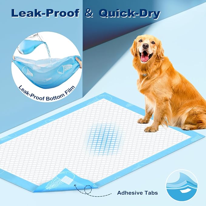 MIZOK XXL Pee Pads for Dogs Super Absorbent Dog Pee Pads Bulk 28x44in 100Ct | Heavy Duty Extra Long Dog Pads Feature Sticky Adhesive Tabs and Leak Proof Jellyfish Bottoms for Long Bodied Breeds