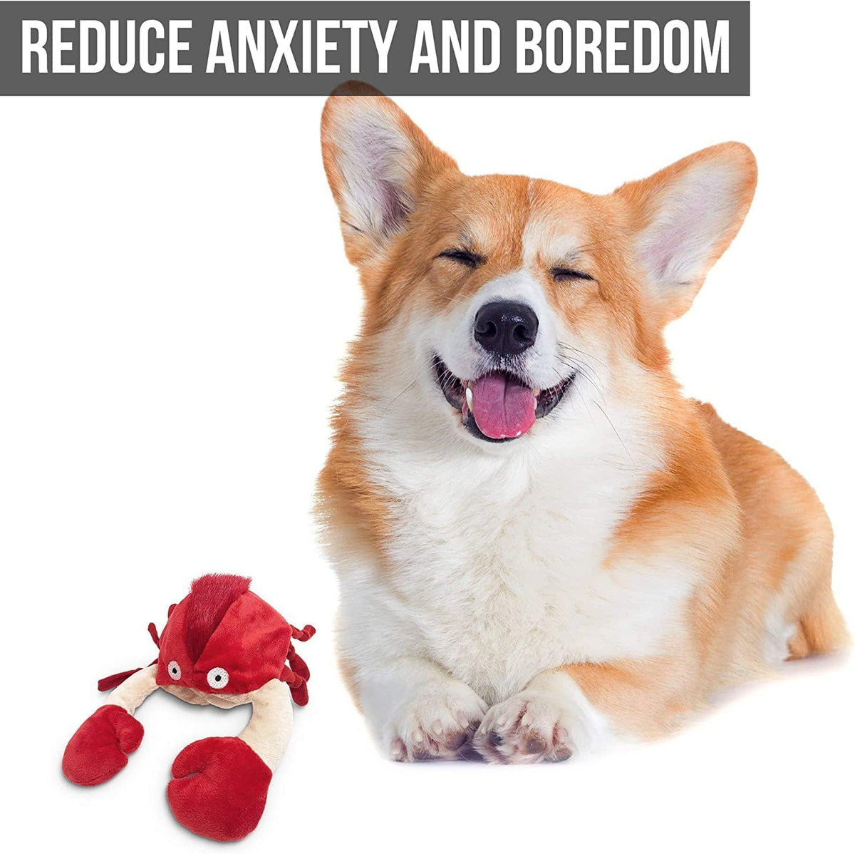 Hyper Pet Doggie Pal Interactive Dog Toys (Dog Toy that Wiggles, Vibrates, and Barks Plush Toys for Boredom and Stimulating Play)