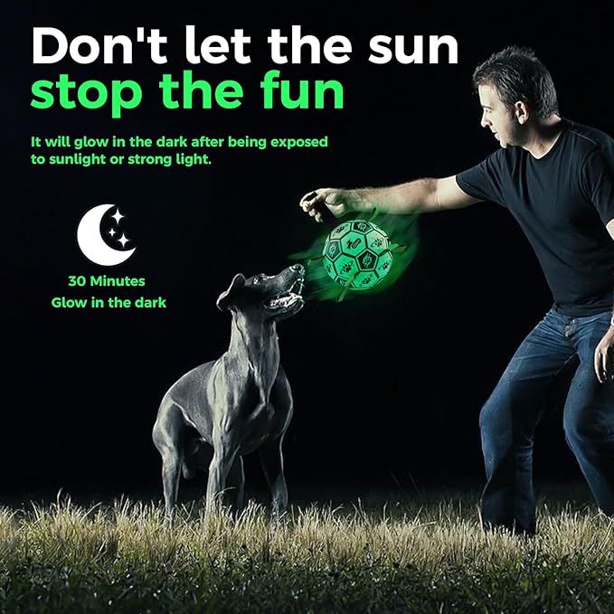 QDAN Premium Dog Ball, Glow in The Dark Dog Toys, Light Up Soccer Ball for Dogs, Outdoor Dog Toys, Doggy Water Toy, Puppy Birthday Gifts for Small Medium (6 Inch)