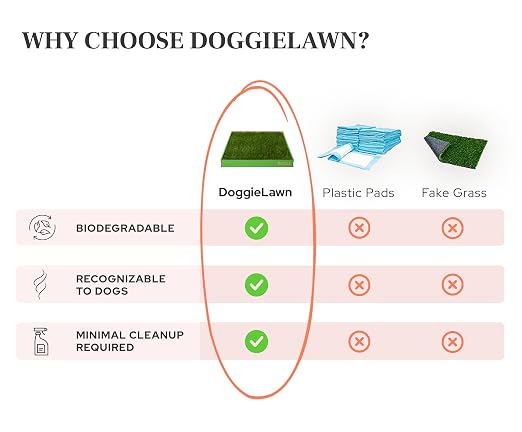 DoggieLawn Real Grass Dog Pee Pads with Tray - Large Dog Potty Pad 24x24 | No-cleaning, odor-reducing puppy potty training pad for housebreaking, indoor or outdoor use, real grass, replace when needed