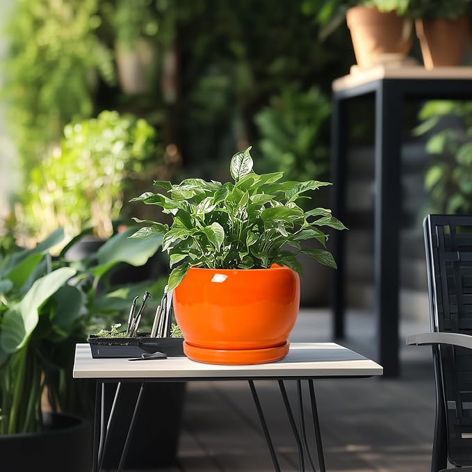 SQOWL Ceramic Pot for Plants - 8 Inch Plant Pot Indoor Outdoor, Modern Round Planter with Drainage Hole and Saucer, Decorative Planter for Flower, Office Decor, Garden Gifts for Women, Orange