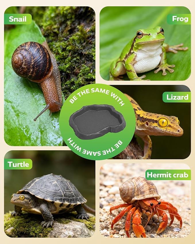 2Pcs Snail Food and Water Bowl, Reptile Water Dish and Food Bowl, Natural Design Terrarium Feeding Dish for Garden Snails, Hermit Crab, Lizard, Frog, Gecko (Black)