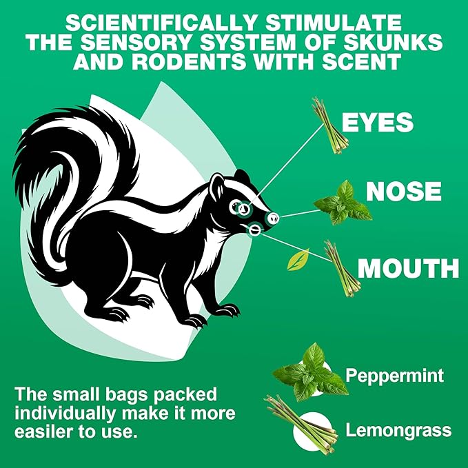 24 Pack Skunk Repellent Outdoor, Natural Peppermint Skunk Repellent Ball Humane Keep Skunk, Squirrel, Mouse, Mole Away from Yard Garden Lawn, Powerful Skunk Deterrent Outdoor