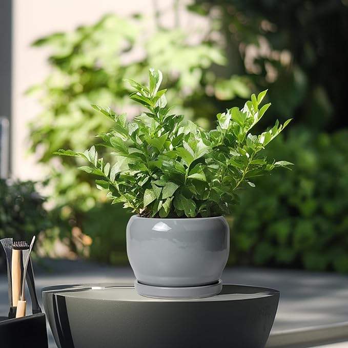 SQOWL 6 Inch Plant Pots - Ceramic Planter with Drainage Hole and Saucer, Round Ceramic Flower Pot Indoor Outdoor, Modern Succulent Planter, Bathroom Decor, Gifts for Plant Lovers, Grey