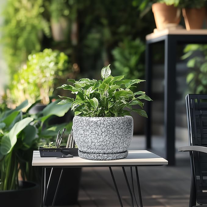SQOWL 8 inch Plant Pot - Ceramic Planter with Drainage Hole and Saucer, Round Flower Pot for Indoor Plants, Decorative Planter Outdoor, Patio Balcony Decor, House Warming Gifts, Black and White
