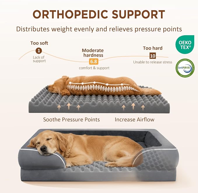 Comfort Expression Waterproof Orthopedic Dog Bed for Medium Size Dog | Supportive Egg Crate Foam Medium Pet Bed with Removable Bolster, Dog Couch with Washable Cover & Non-Slip Bottom, 28x19 Inch