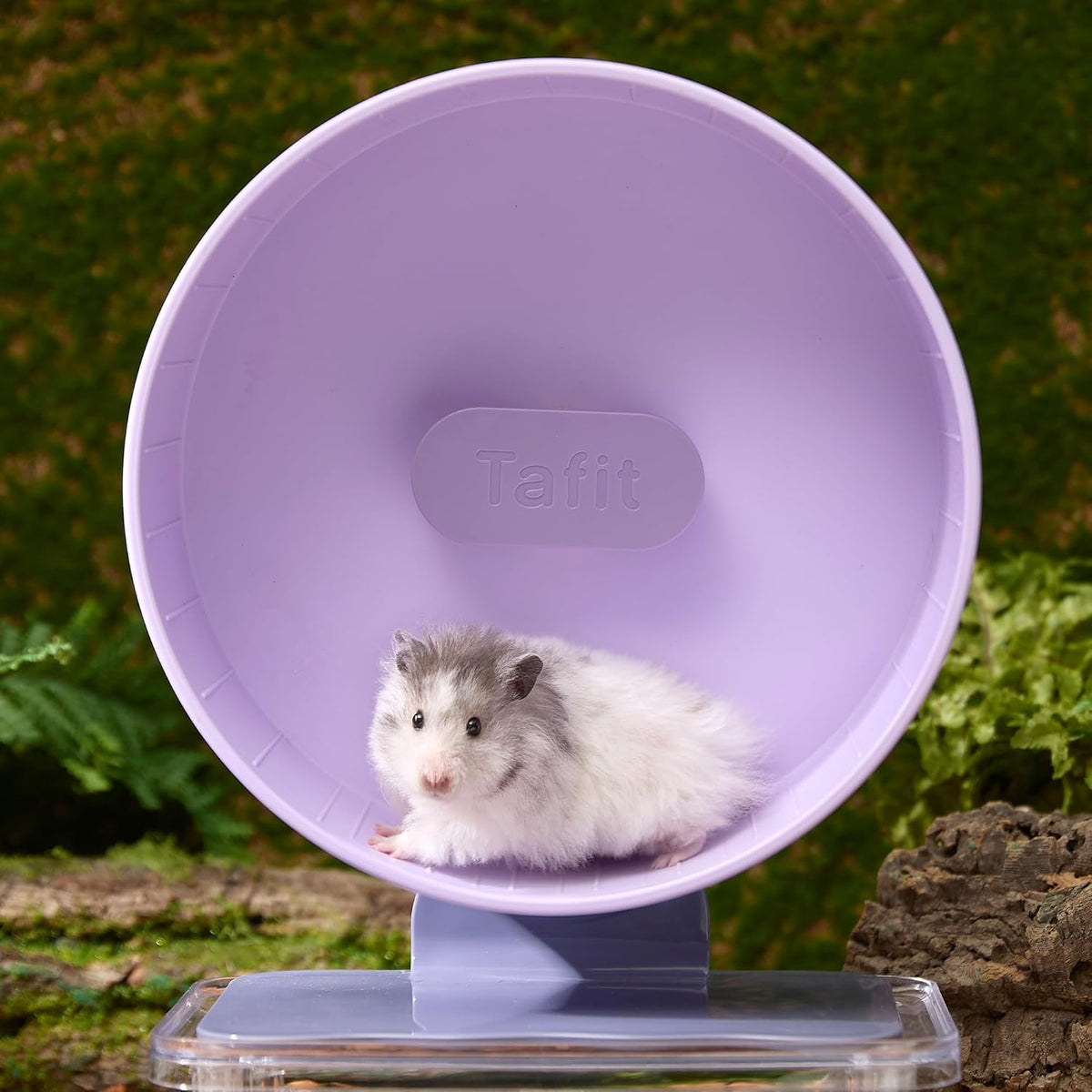Silent Hamster Wheel 8.7 Inch Dual-Bearings Small Animals Quiet Running Exercise Wheels, Height Adjustable for Dwarf Hamsters, Gerbils, Mice, Hedgehog, Lemmings, or Other Small Pets,Taro Purple
