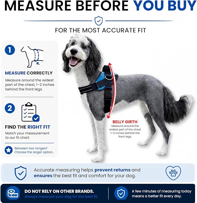 ShawnCo Essential Pro Dog Harness, No-Pull Pet Vest with 3 Leash Clips and Removable, Reflective Side Patches, Adjustable and Padded Harness for Small, Medium and Large Dogs (Oceanic Blue, XL)