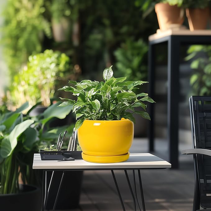 SQOWL Ceramic Plant Pot - 8 Inch Planter for Indoor Outdoor, Decorative Plant Pot with Drainage Hole and Saucer, Modern Round Planter for Flower, Desk Decor, Housewarming Gifts, Yellow