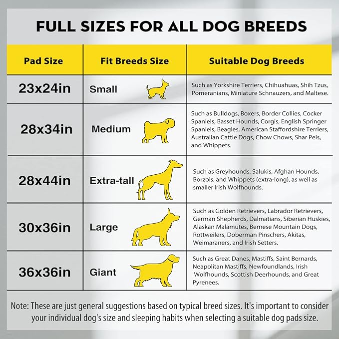 CROCI Charcoal Pee Pads for Dogs Odor Control Leak Proof Large 28x34in 40Ct | Super Absorbent Puppy Pads with Adhesive Tabs, Heavy Duty, Dog Potty Training, Quick-Dry Surface, Disposable