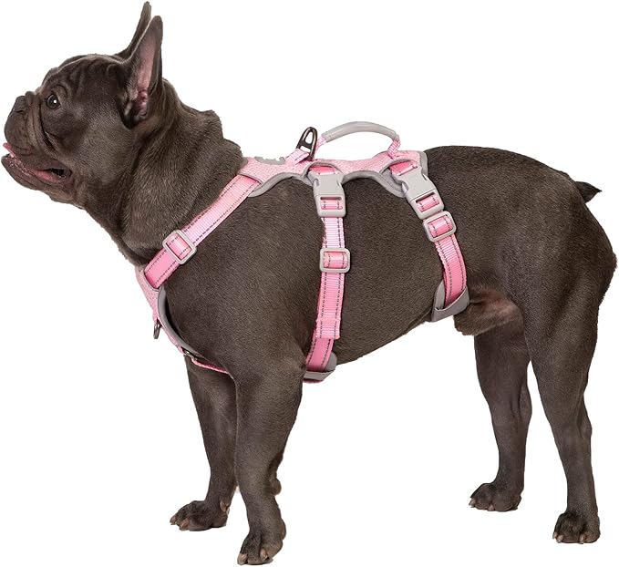 Escape Proof Dog Harness, Escape Artist Harness, Fully Reflective Harness with Padded Handle, Breathable,Durable, Adjustable Vest for Medium Dogs Walking, Training, and Running Gear (Pink,M)
