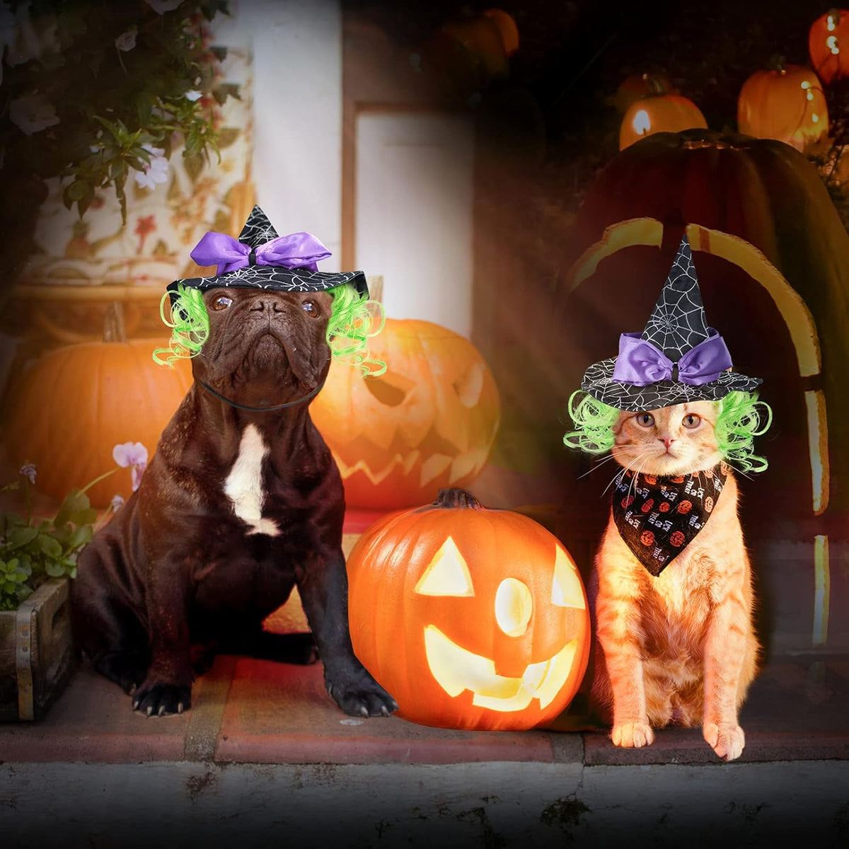 Enjoying Pet Halloween Costumes for Cats Small Dogs, Cat Witch Hat with Funny Wig, Adjustable Doggie Witch Hat Outfit, Kitten Halloween Sorcery Hat Cosplay