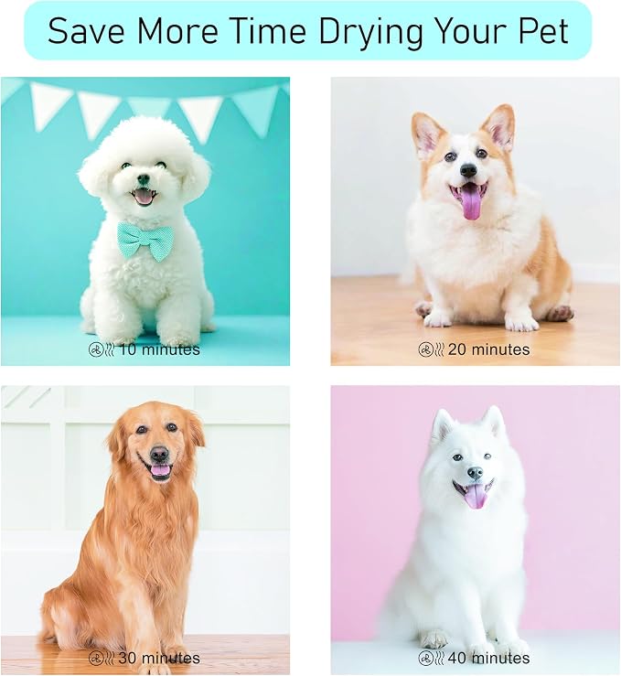 Dog Dryer for Pet Grooming, Pet Hair Dryer with Heater, White
