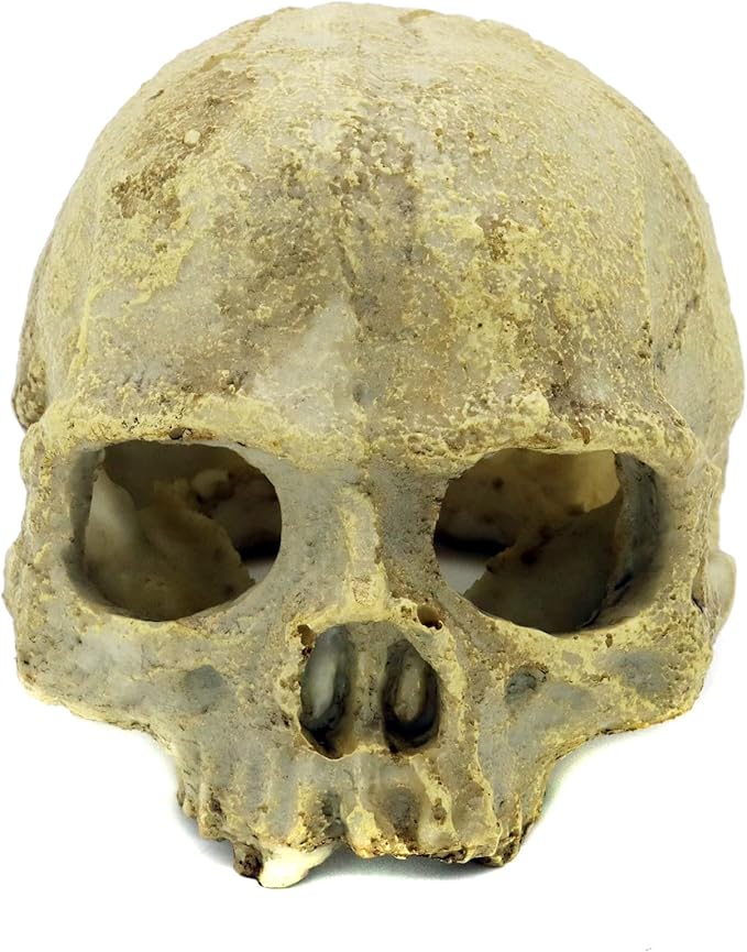 JIHAQUA Aquarium Resin Skull, Reptile Tank Accessories Ornament Basking Snake Hide Decor Habitat