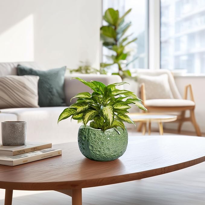 6 Inch Plant Pot - Orchid Pot with Drainage Hole, Ceramic Planter for Indoor Outdoor, Decorative Plant Pots, Modern Round Unique Flower Pots, Living Room Decor, Gifts for Women Men, Green