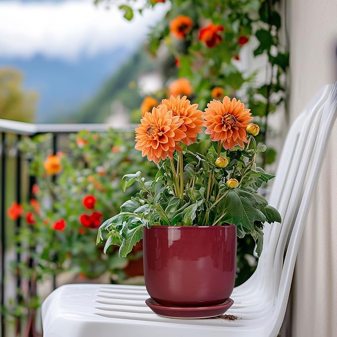 Ceramic Plant Pot - 5 Inch Modern Round Planter for Indoor Plants with Drainage Hole and Saucer, Patio Office House Room Bathroom Decor, Red
