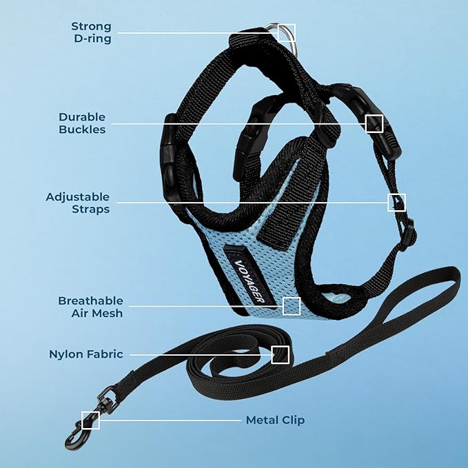 Voyager Step-in Lock Adjustable Cat Harness w. Cat Leash Combo Set with Neoprene Handle 5ft - Supports Small, Medium and Large Breed Cats by Best Pet Supplies - Baby Blue/Black Trim, XXXS