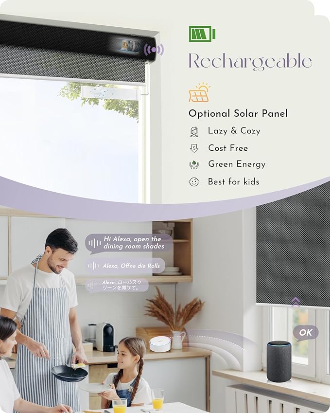 Graywind Motorized Solar Shades Light Filtering Mesh Shade Compatible