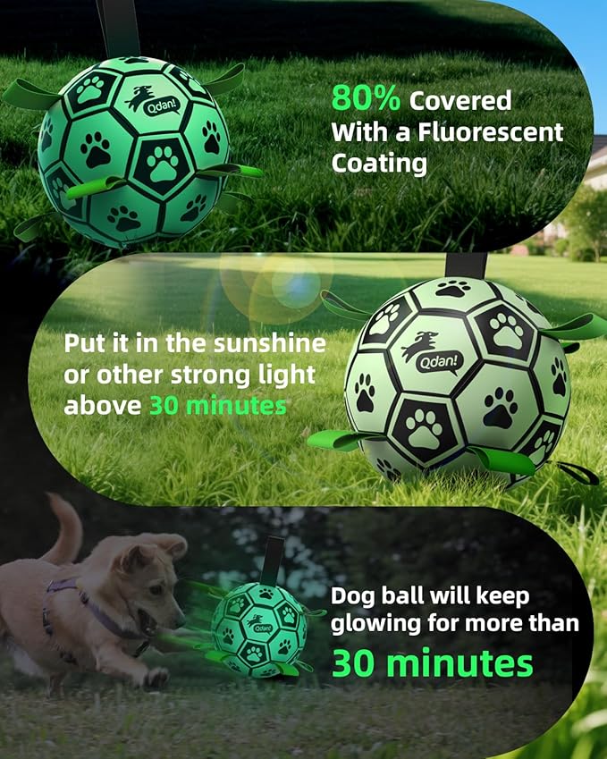 QDAN Premium Dog Ball, Glow in The Dark Dog Toys, Light Up Soccer Ball for Dogs, Outdoor Dog Toys, Doggy Water Toy, Puppy Birthday Gifts for Small Medium (6 Inch)