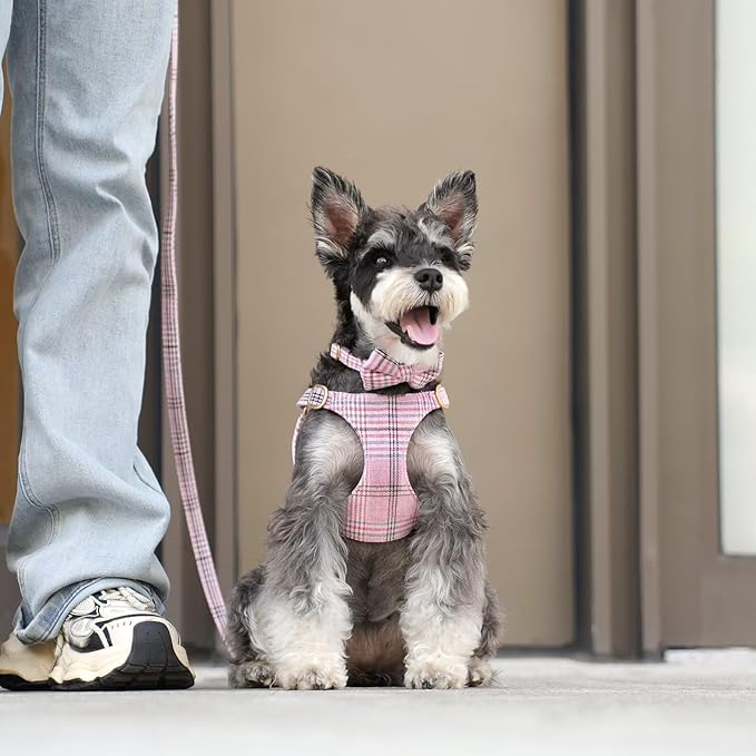 Beirui Cute Small Dog Harness Collar and Leash Set with Bowtie, Soft Adjustable Plaid Puppy Harness for Small Sized Dogs Cats Walks Parties and Photoshoots(Pink,S:Chest 17-23")