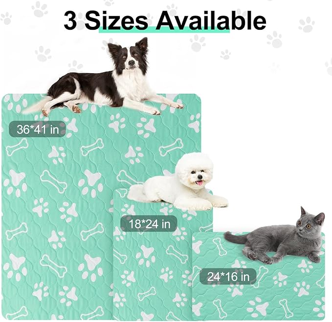 BEAUTYZOO 4 Pack Washable Pee Pads for Dogs,Reusable Puppy Pads 18x24 Aqua | Waterproof Super Absorbent,Non Slip and Leak-Proof Against Urine,Whelping Pads Mats for Puppy Potty Training,Playpen,Crate