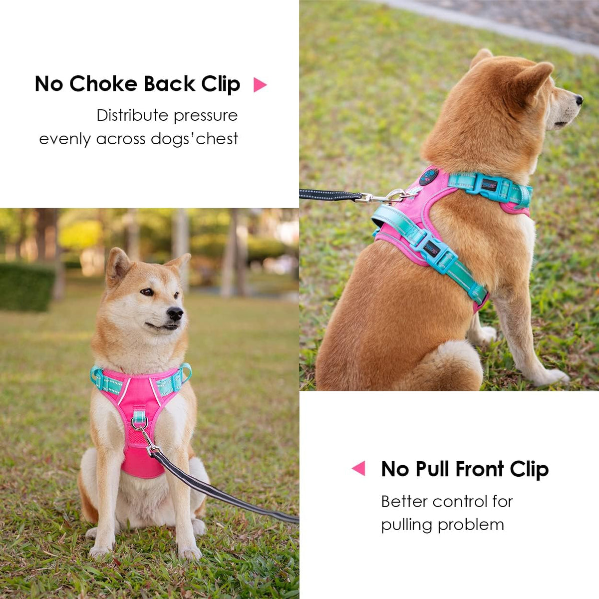PHOEPET No Pull Dog Harness, Unique Colors Reflective Adjustable Dog Vest, with Soft Training Handle Metal Clips for Small Medium Large Dogs (Pink Base & Green Straps,XS)