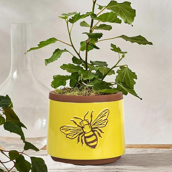 YBX Terracotta Pots Inch with Drainage Holes, Bee Decor, Ceramic Pots for Indoor Plants Flower Pots Outdoor, Succulent, Herbs, Snake Plants (Yellow, 6+4 Inch)
