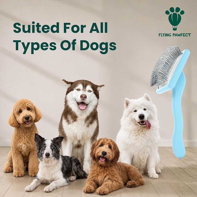 Slicker Brush for Dogs - Long Pin for Poodles, Doodles & Long Haired Dogs, Deshedding & Dematting Tool, Slicker Dog Brushes for Grooming (3 Baby Blue, Flat Large Bundle)