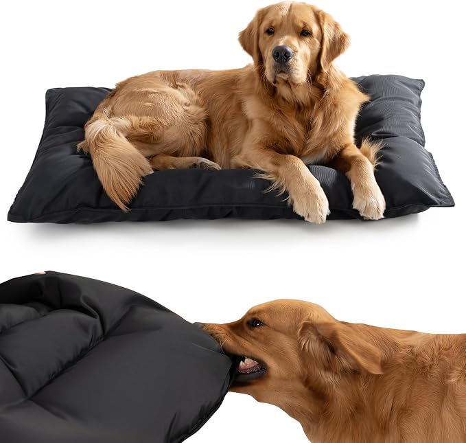 Chew Proof Indestructible Dog Bed,Medium (22"x35") | Durable,for Aggressive Chewers,Tough,chew resistant, non chewable,Machine Washable & Waterproof,Indoor Outdoor