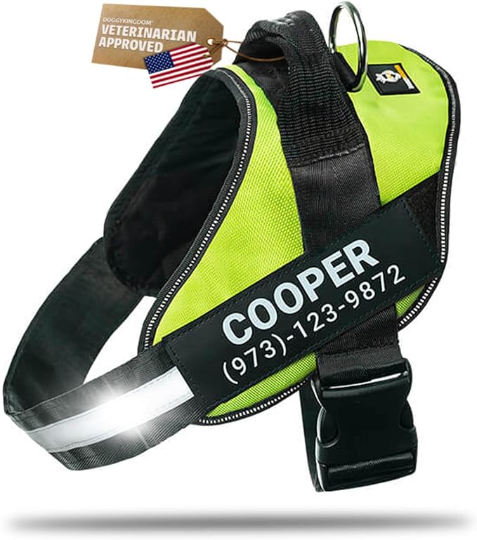 Personalized Dog Harness with Custom Name Patches, Adjustable Reflective No Choke Dog Vest with Handle for Large Dogs, Green, L