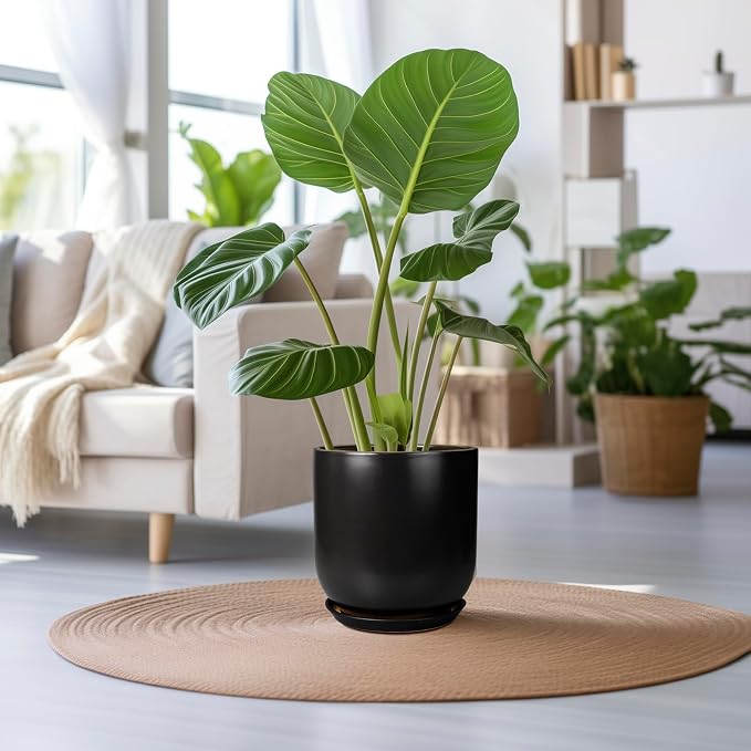 Ceramic Planter Pot - 12 Inch Large Plant Pot with Drainage Hole and Saucer Modern Flower Pot for Indoor Outdoor Plants Home Garden Decor Black