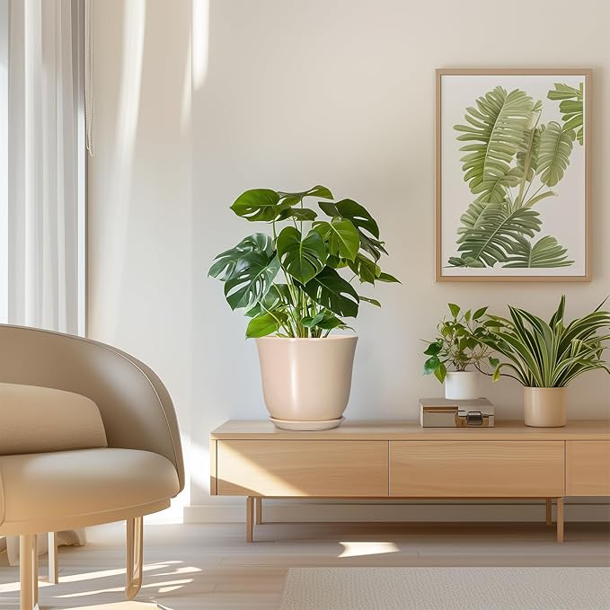 8 Inch Plant Pot - Ceramic Pots for Plants Indoor Outdoor, Round Flower Pots with Drainage Hole and Saucer, Modern Decorative Planters, Home Office Desk Room Decor, Plant Lover Gifts, Beige