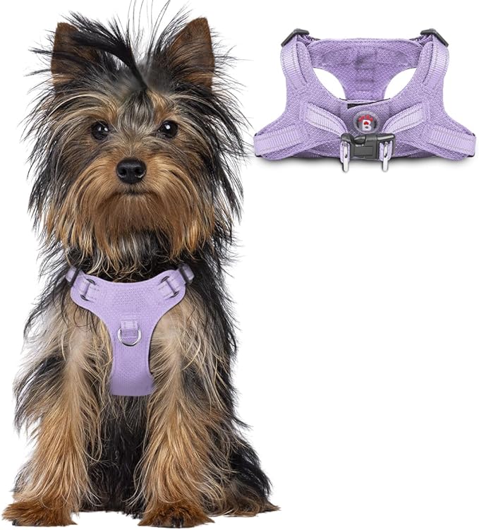 BARKBAY Dog Harness, Reflective Adjustable Puppy No Pull Harness, Breathable Soft for Small and Medium Dogs, Violet Purple, XXS