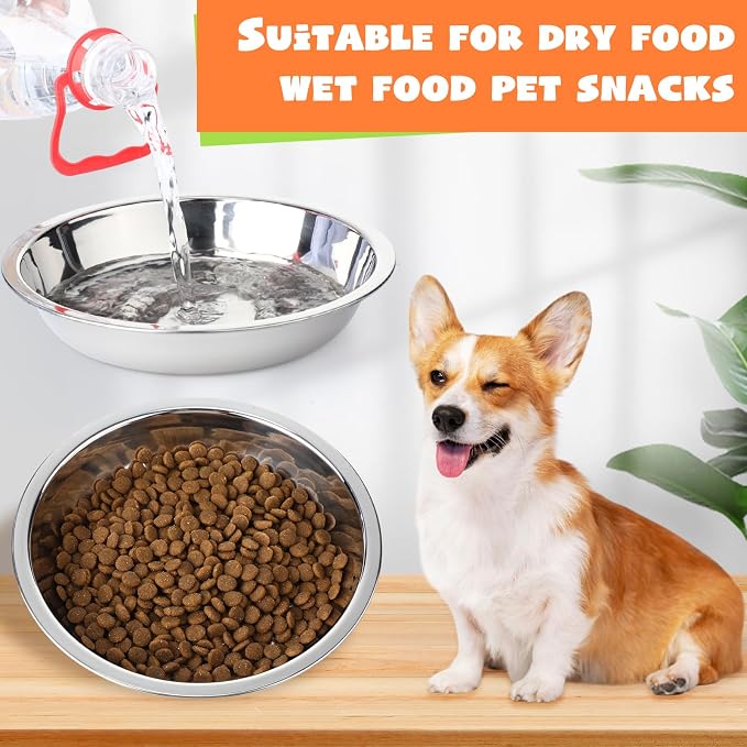 Patelai Stainless Steel Dog Bowls with Silicone Lids for 1.9 Cups Portable Food and Water Dishes for Pets Sealable Containers for 6.3" for Cats & Small Dogs(Red,Purple)