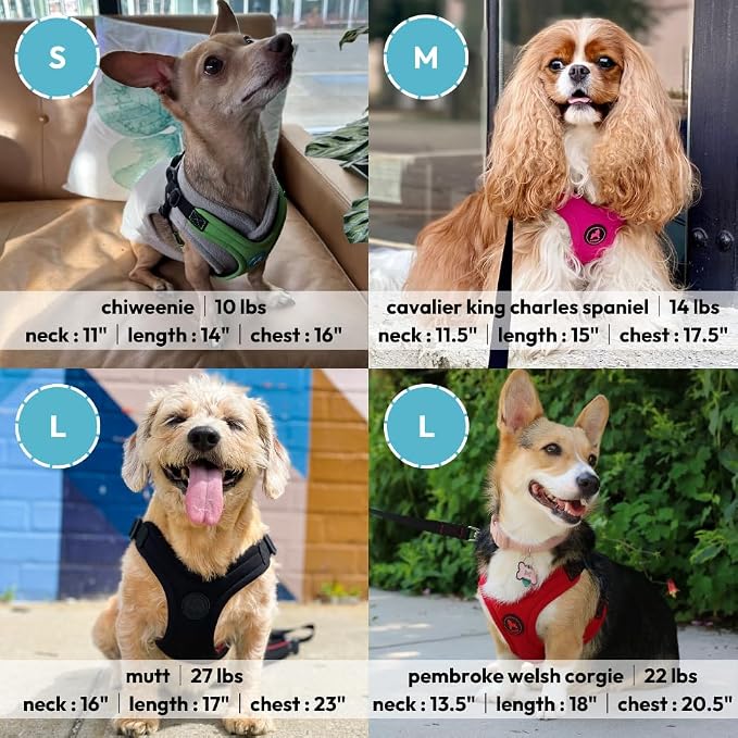 Gooby Escape Free Sport Dog Harness, Choke-Free, Black, Large | Patented escape-free frame; Reduces choking; 4-point adjustment; Soft neoprene padding; Durable webbed straps
