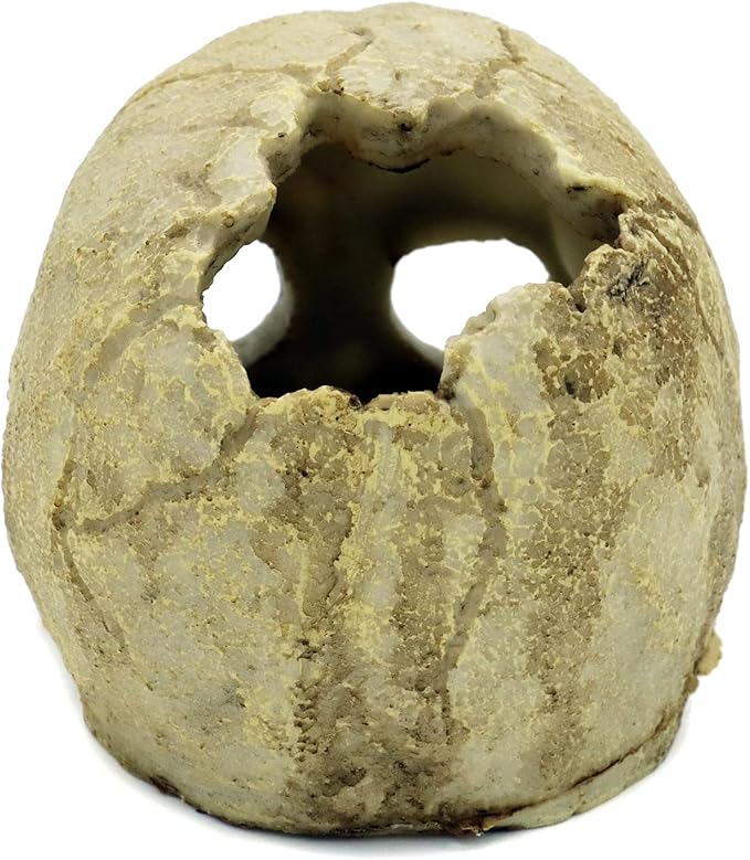 JIHAQUA Aquarium Resin Skull, Reptile Tank Accessories Ornament Basking Snake Hide Decor Habitat