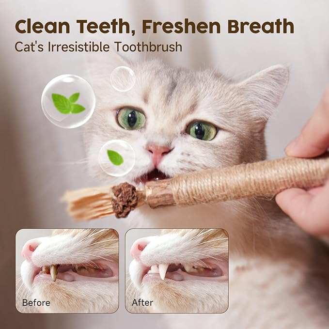 Potaroma 6 Pcs Natural Silvervine Sticks Cat Toys, Catmint Silvervine Blend Sticks, Kittens Chew Toys for Teeth Cleaning, Matatabi Dental Care Cat Treat, Edible Kitty Lick Toys