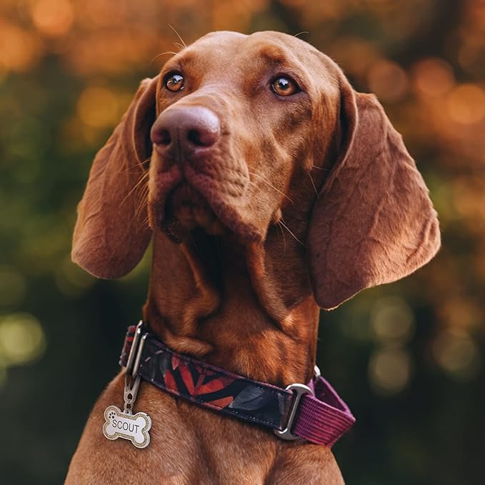 Personalized Stainless Steel Pet ID Tags with Glittery Bone Design - DEEP Engraved Dog Tags Engraved for Pets Customized with 5 Lines Dogs and Cats Pets