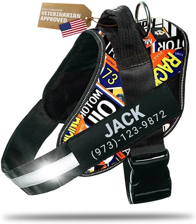 Personalized Dog Harness with Custom Name Patches, Adjustable Reflective No Choke Dog Vest with Handle for Small Sized Dog, Motorsport, S