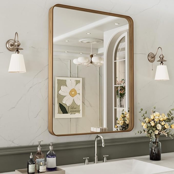 LOAAO 20X30 Inch Bathroom Mirror