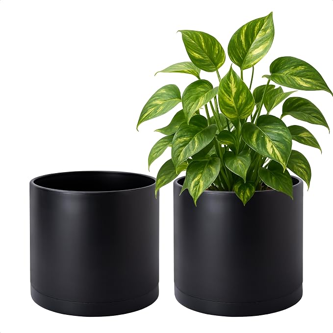 D'vine Dev 2 Pack 8 Inch Modern Plastic Plant Pots, Cylindrical Garden Planters for Plants with Drainage Holes and Saucers, Black, 74-Y-M-1