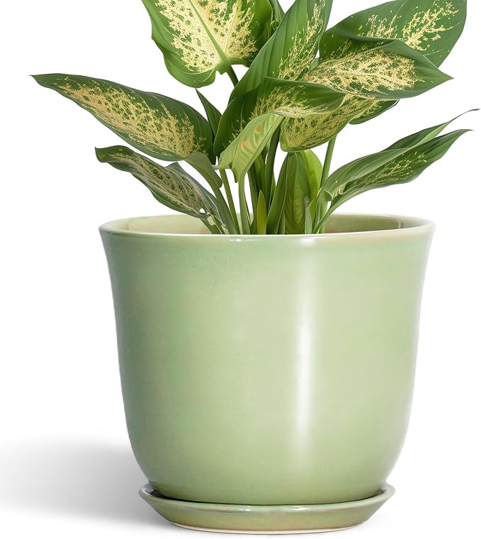 5.6 Inch Plant Pot - Ceramic Pots for Plants Indoor Outdoor, Round Orchid Succulent Pot with Drainage Hole and Saucer, Modern Small Planter, Home Room Window Decor, Plants Lover Gift, Green