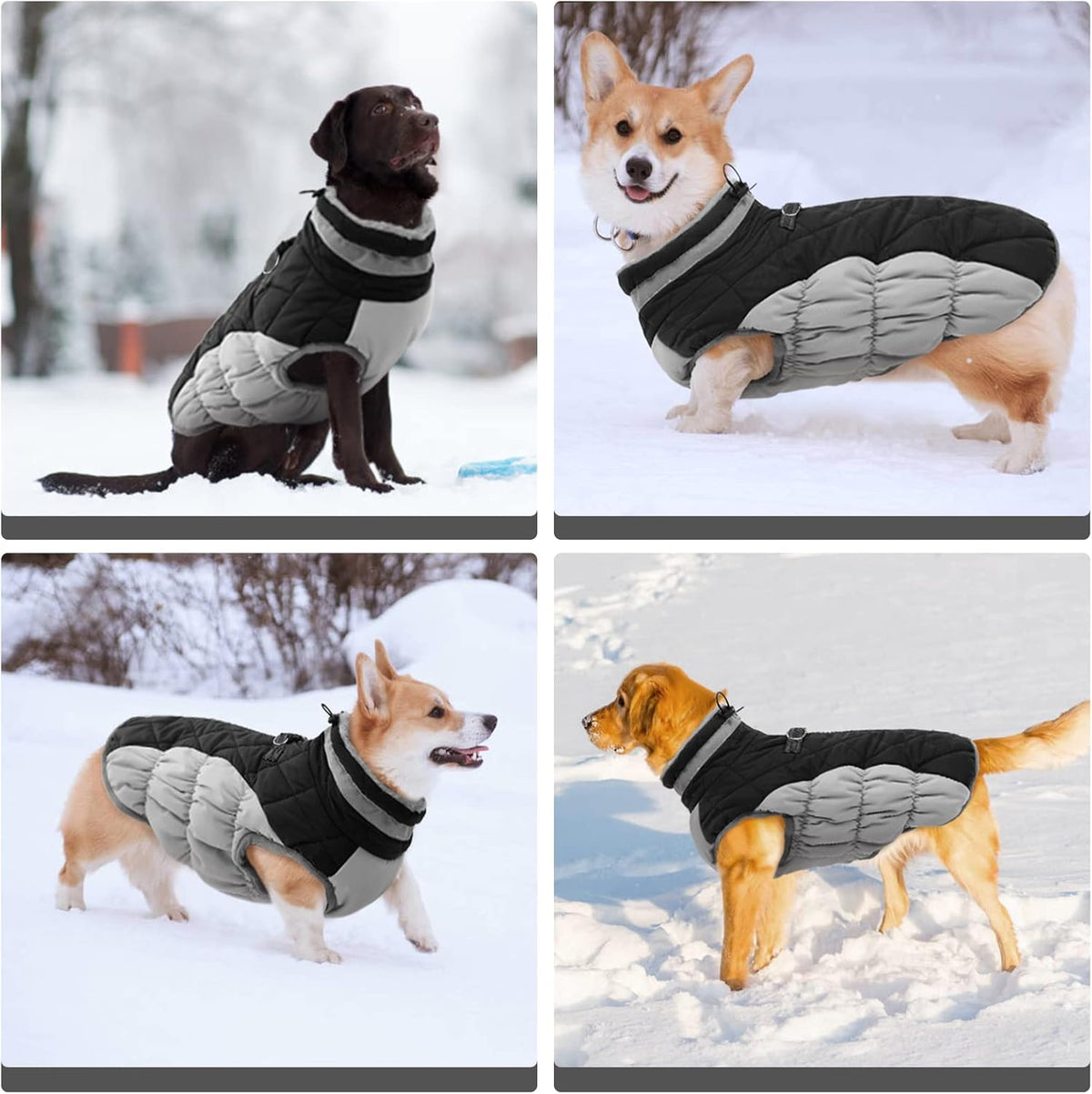 FUAMEY Dog Coat for Medium Dogs,Waterproof Dog Winter Jacket with Harness Built in Puppy Cold Weather Coats Reflective Pet Vest with Zipper Warm Fleece Dogs Snowsuit Windproof Black M