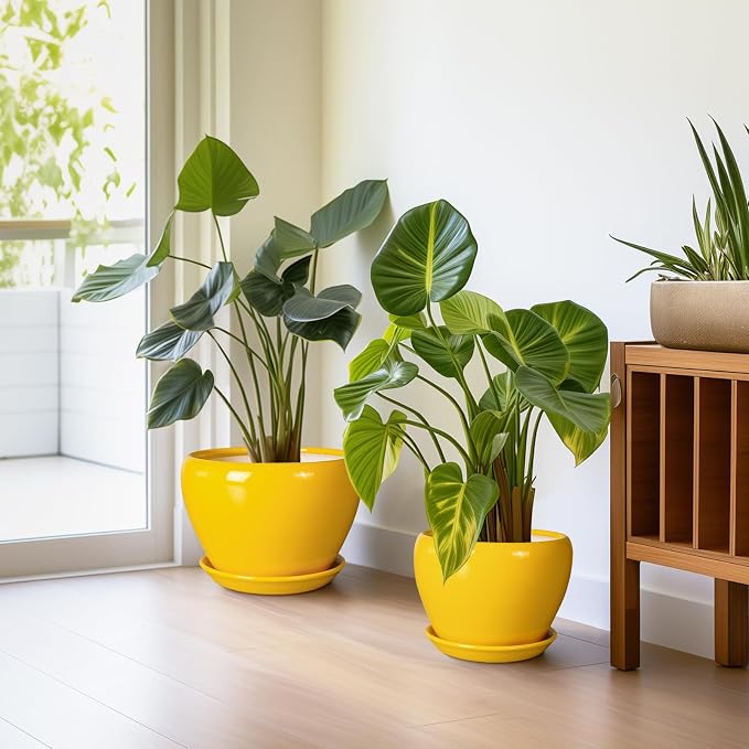 Ceramic Planters Set of 3 - Modern Round 10+8+6 Inch Plant Pots with Drainage Holes and Plant Trays for Indoor Outdoor Flowers, Decorative Garden Room Home Decor, Housewarming Gifts, Yellow